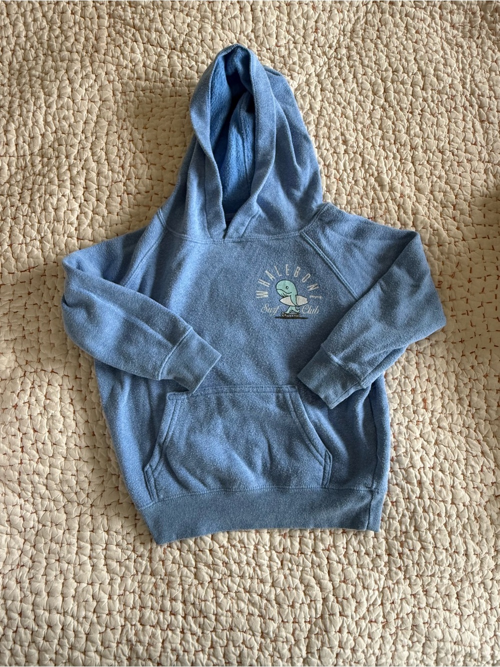Light Blue Graphic Hoodie